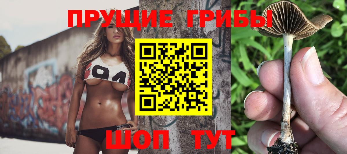 Сатка  Галлюциногенные грибы мицелий  Вход с VPN 