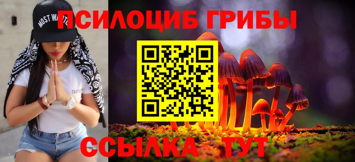 Псилоцибиновые грибы мицелий Сатка